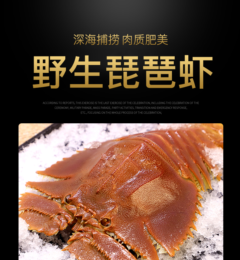 (鲜活） 琵琶虾 九齿扇虾 500克约(4-6只）