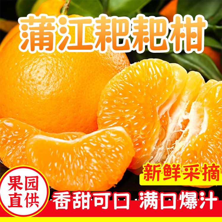 【邮政补贴】四川浦江耙耙柑净重8斤香甜多汁颗颗饱满皮薄馅大爽口