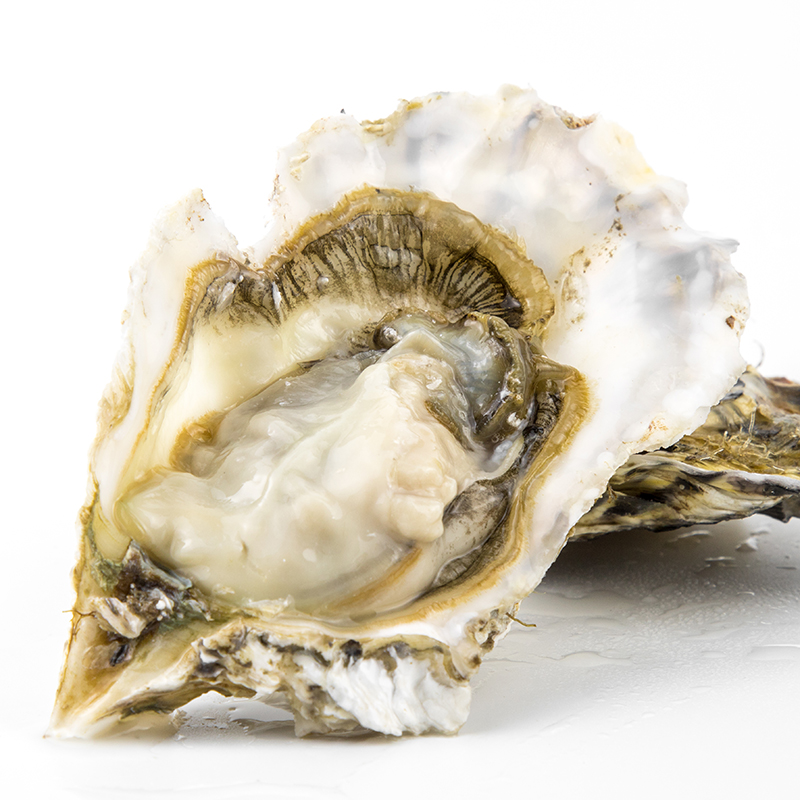 海之味生蚝尝鲜试吃装一毛一个（默认不开，要开备注）