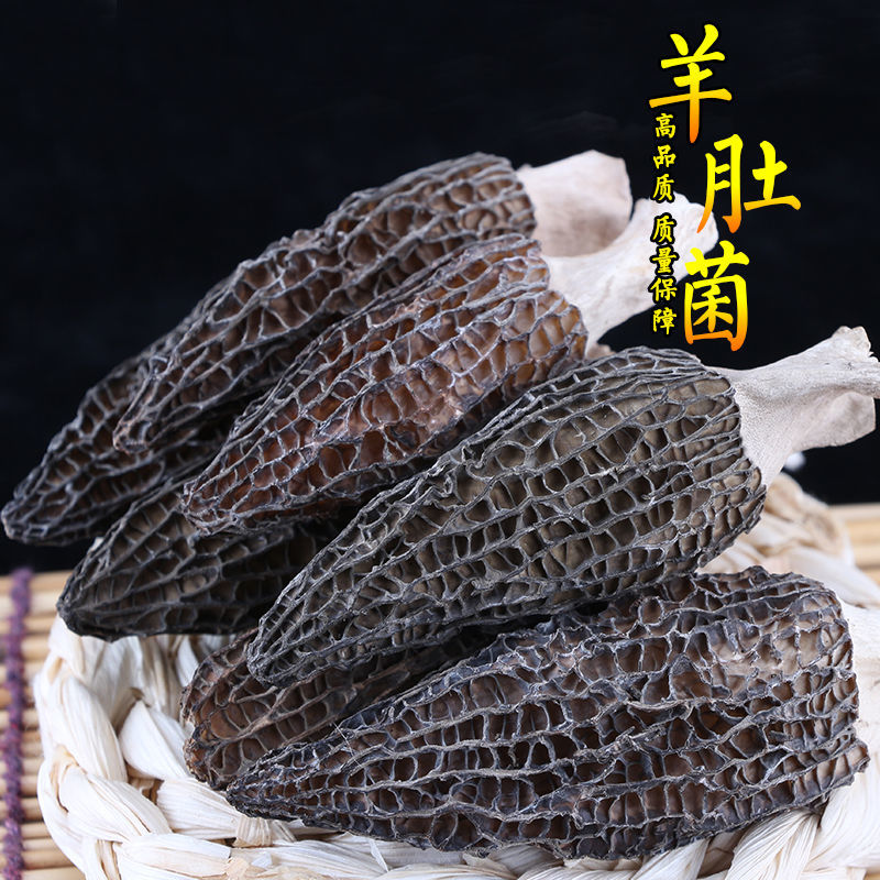 羊肚菌新鲜干货野生菌云南特产菇蘑头茬牛肚茵3到9厘米