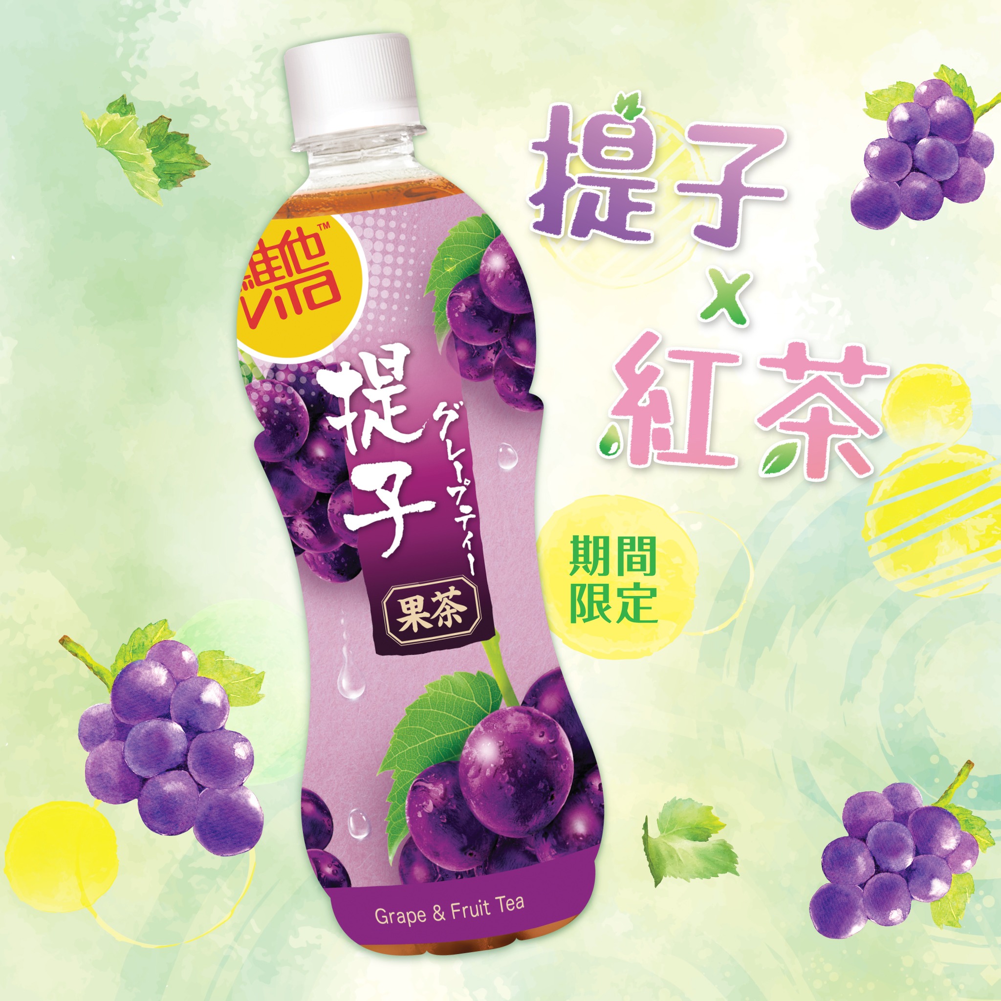 香港进口 维他 vita 提子果茶 500ml