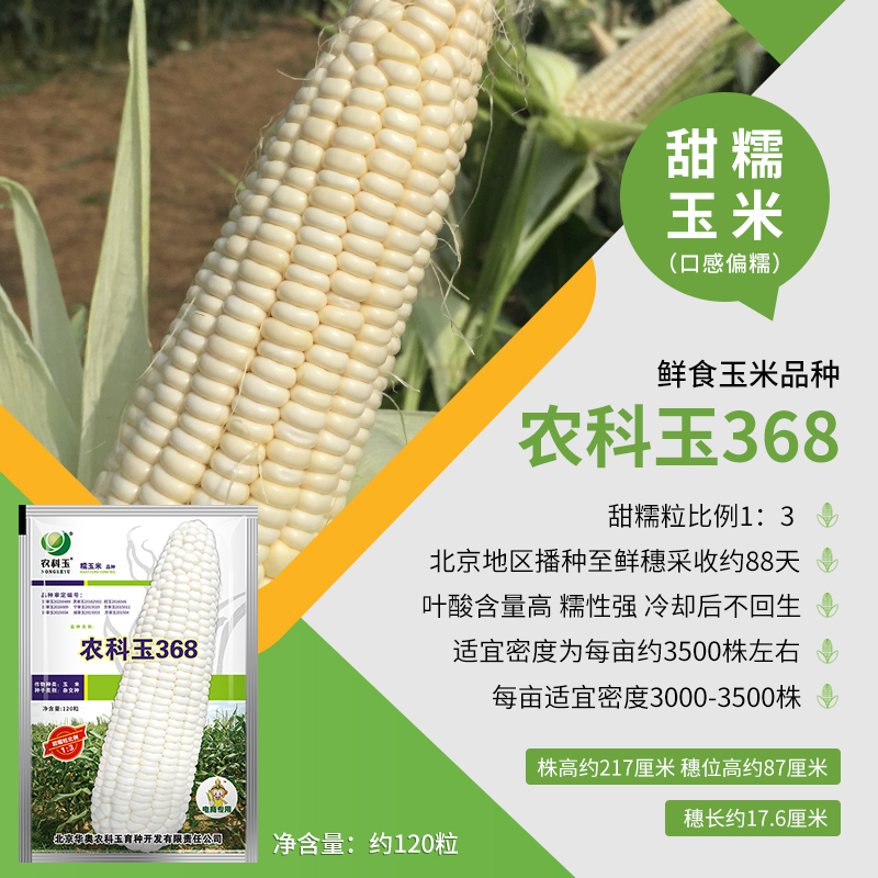 农科玉368甜糯玉米种子好吃的鲜食玉米农科院春夏种植