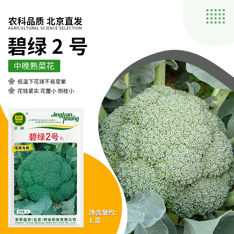 京研【农科院】西蓝花蔬菜种子丰收节四季阳台小菜园种植简单易种