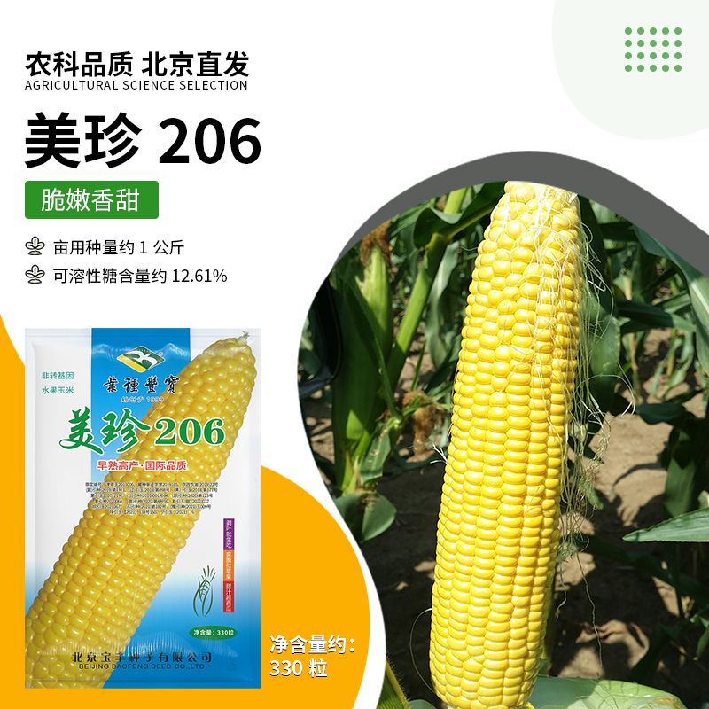 【农科院推荐】超甜玉米种子鲜食甜水果玉米种子早熟高产甜玉米种子