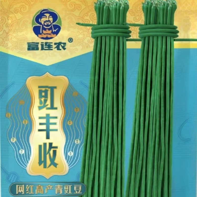 富连农豇丰收青条耐高温高产不鼓粒无鼠尾长青豇豆种子