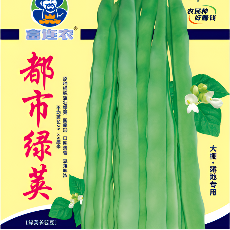 都市绿荚（城市亮荚）圆扁绿条芸豆种子随机发