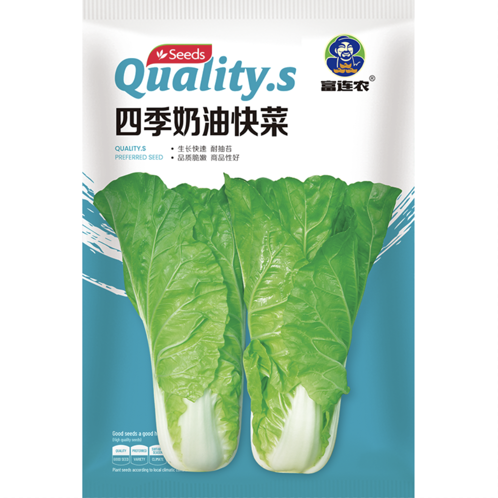 富连农四季奶油快菜种子