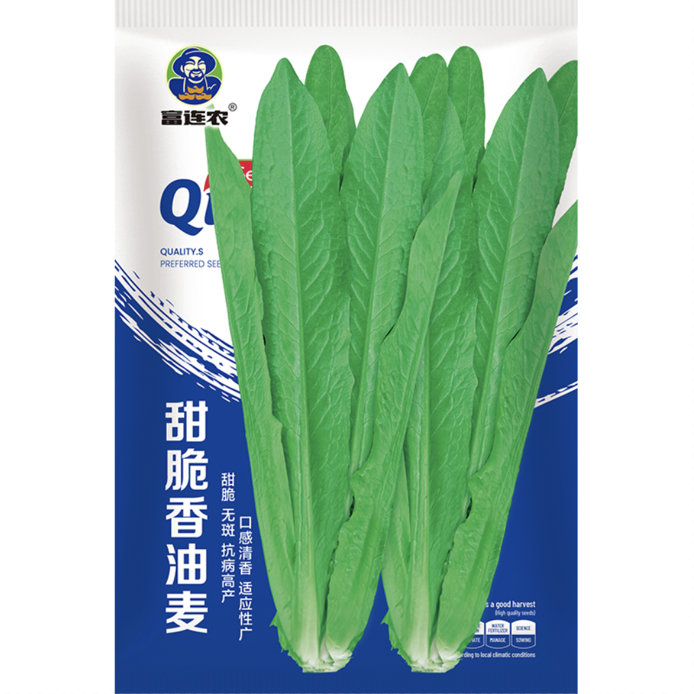 富连农甜脆油麦菜种子