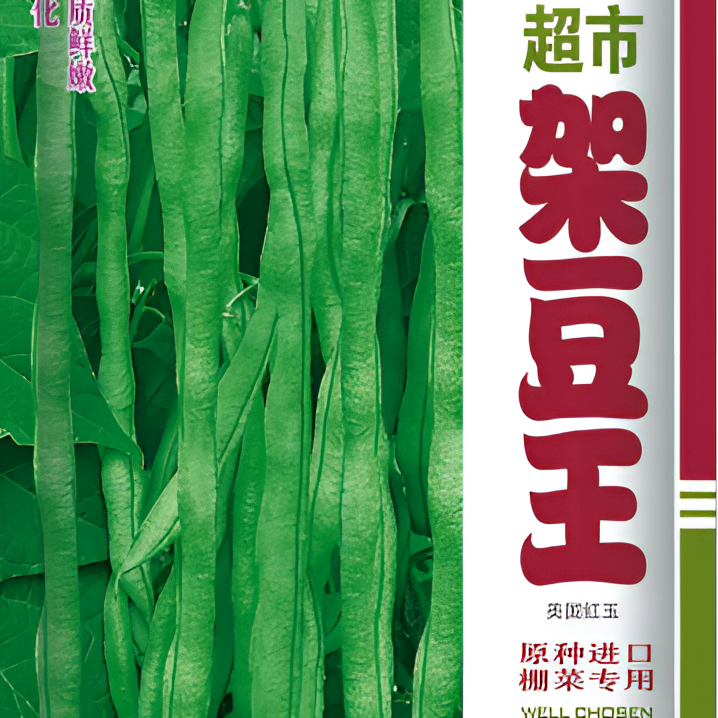 超市架豆王无筋无柴种子