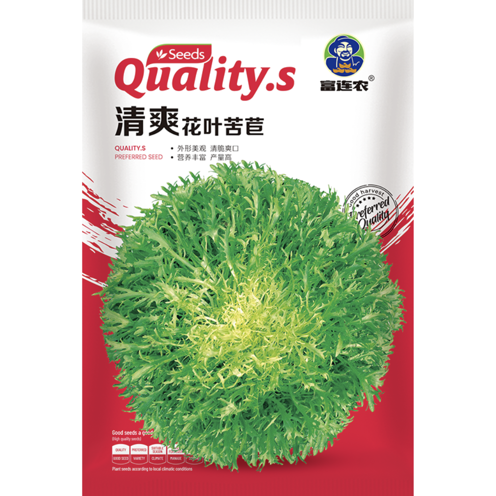 富连农清爽花叶苦苣种子