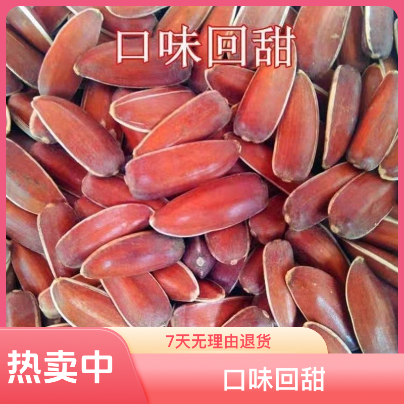 大颗粒云南红皮瓜子水果原味向日葵花籽瓜子批发坚果休闲原味瓜子