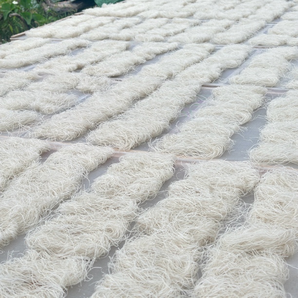 2025正宗农家红薯粉丝 地瓜粉丝 太阳晾晒无添加