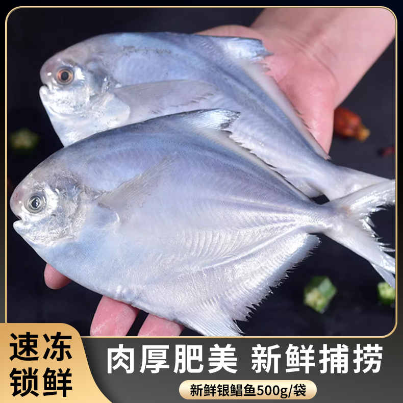 银鲳鱼500g*5袋  6-8条/袋新鲜速冻冷冻鲜活清蒸鲜美