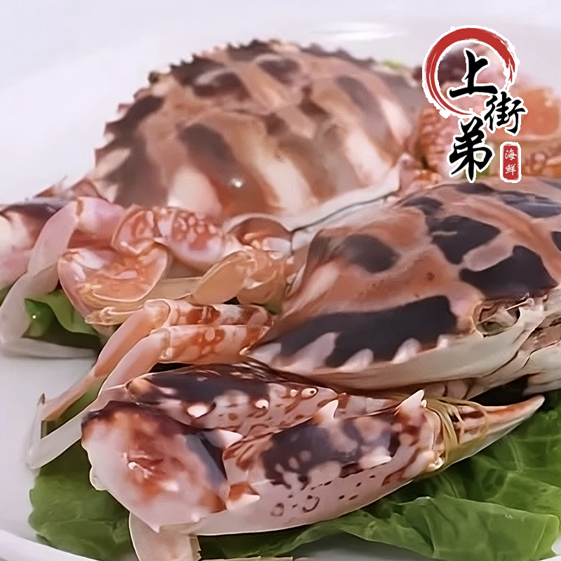 【新鲜花蟹】上街弟推荐/海蟹/单只2两以上/2/3/5斤【保鲜不保活】