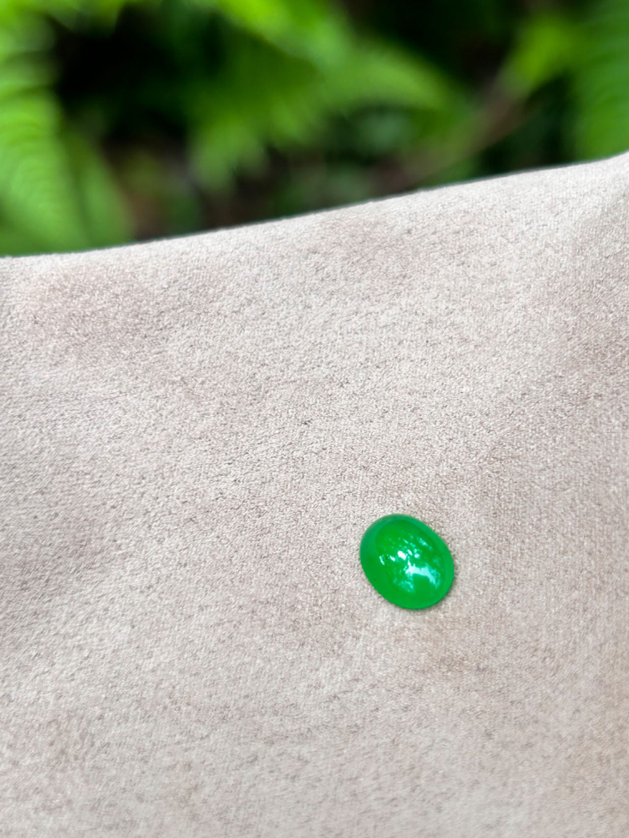 色标级高冰正阳绿翡翠蛋面