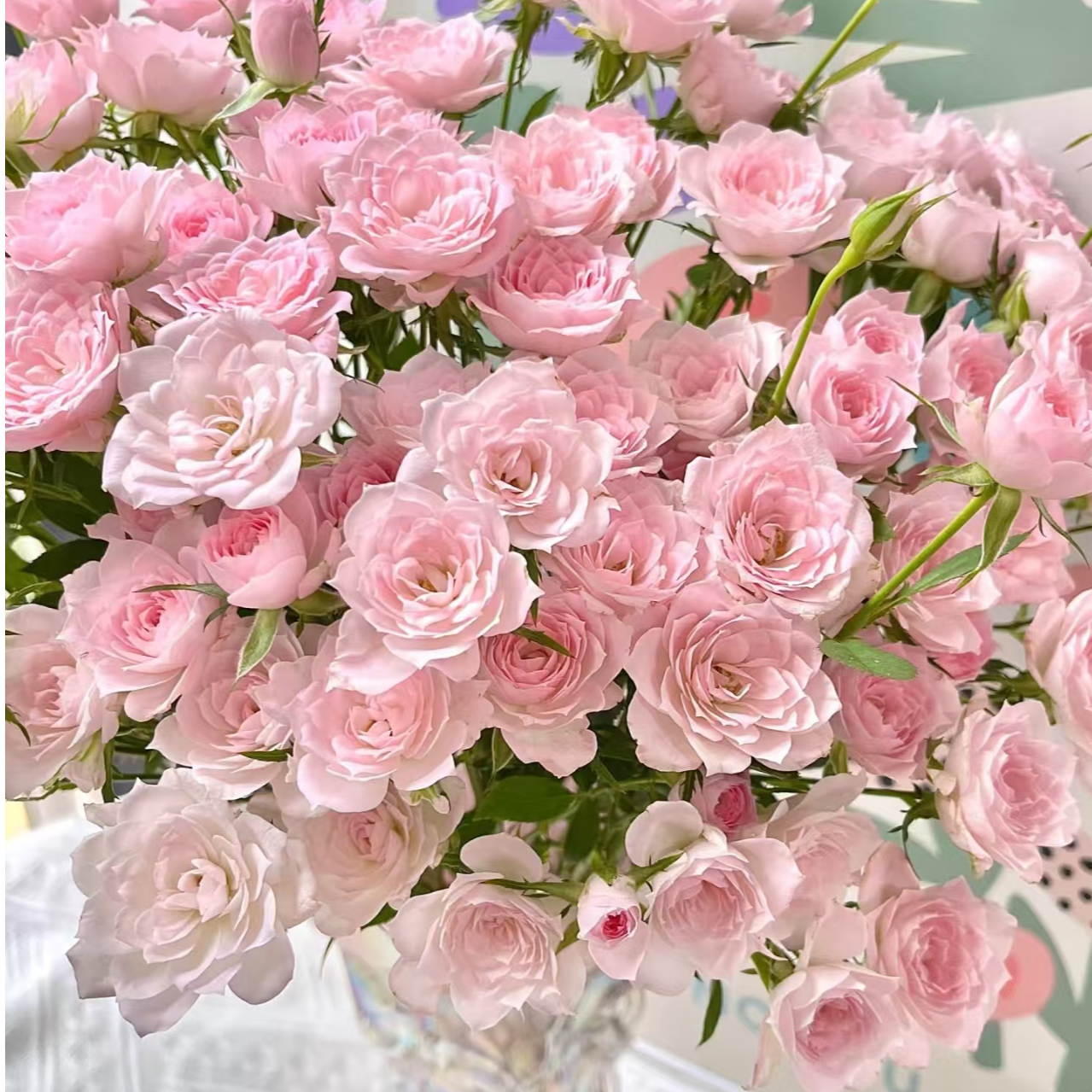 【独鬏鬏优选】[完美甜蜜] 稀有小众 多头玫瑰瓶插装饰鲜活采摘配送