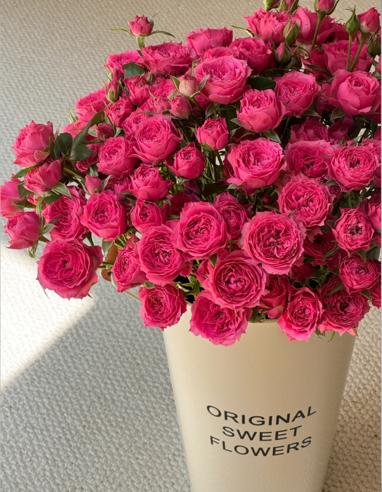 【独鬏鬏优选】A级鲜花 [苏菲宝贝] 多头玫瑰 花头干净高级基地现摘