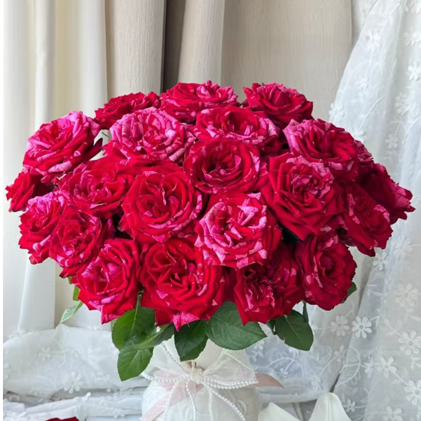 【独鬏鬏优选】A级鲜花 [幸运女神] 单头玫瑰家居瓶插装饰 鲜活采摘