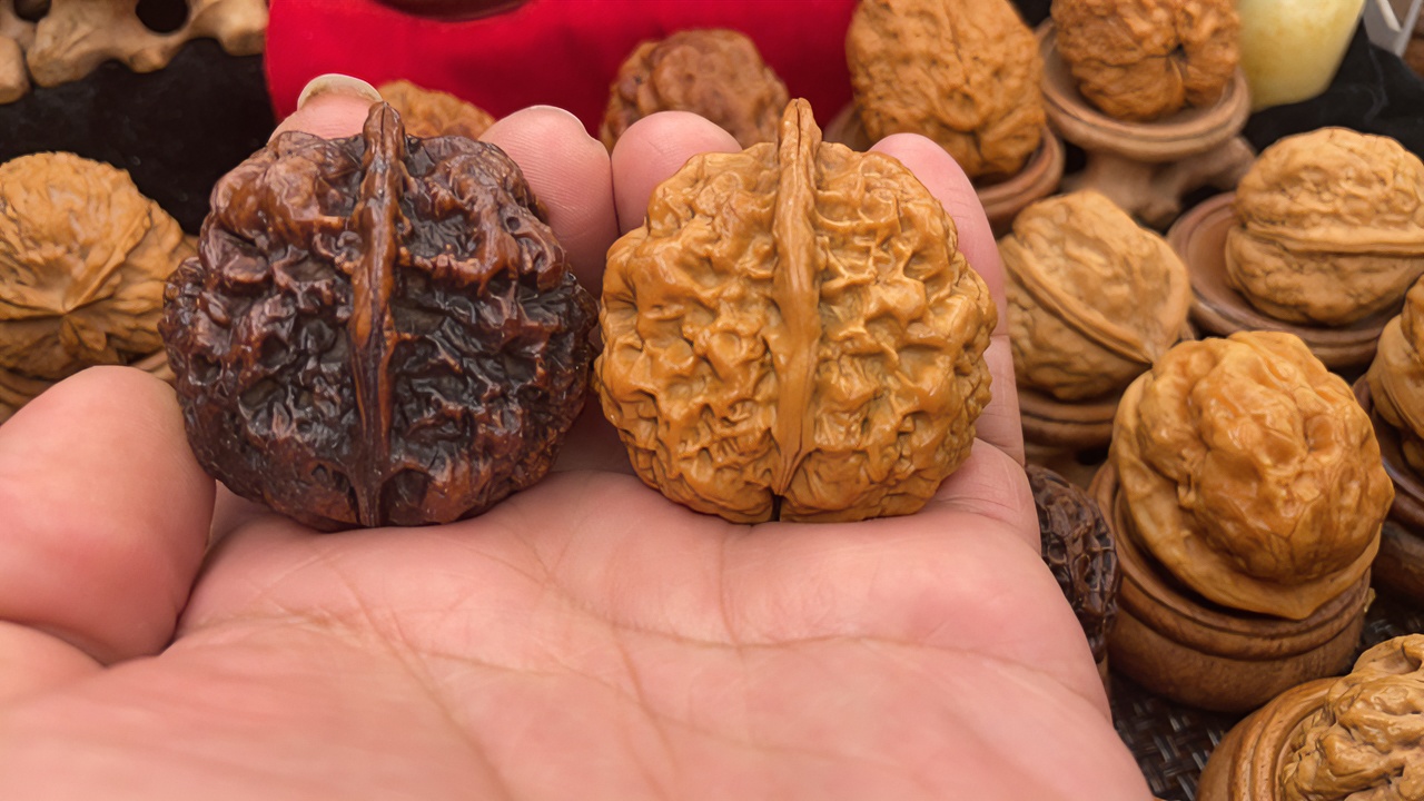 天花板鬼蛊正宗云南原产地直播野生文玩高品质专业纯手工打底把件