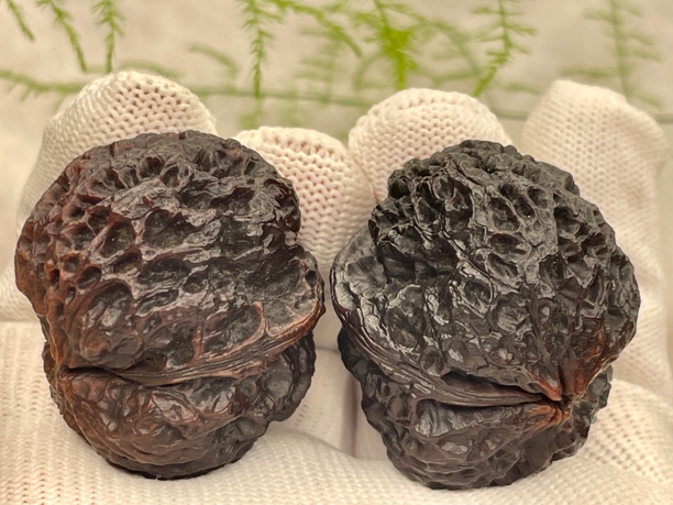 精品树头名铁岩石元宝