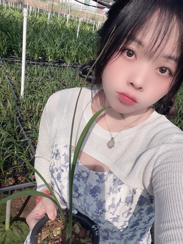 翁源精品兰花，每颗都是精挑细选，直播间一物一拍，乱拍发植料