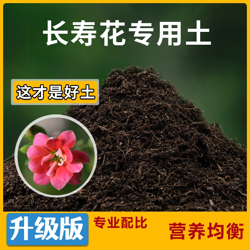 长寿花专用营养土5号链接