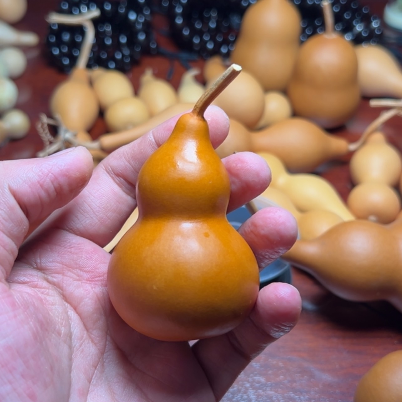 【闪购商品】天然葫芦