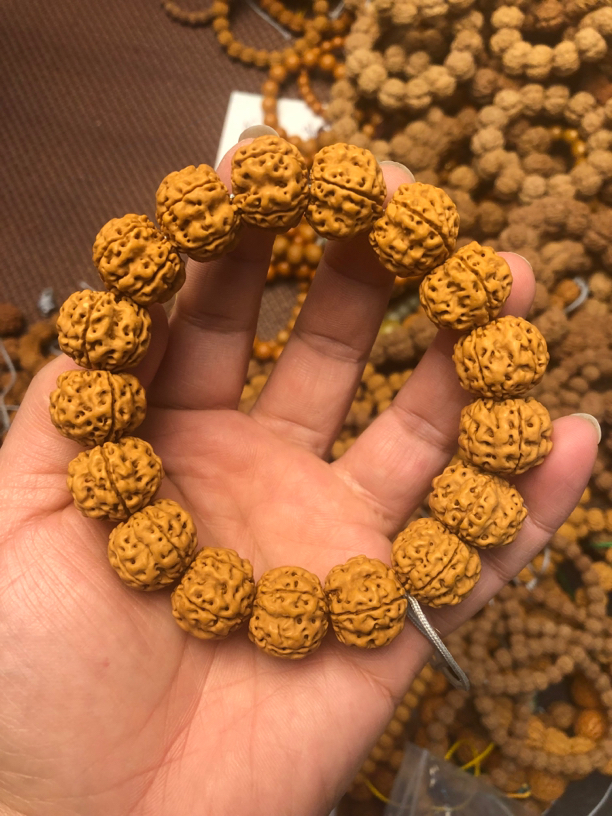 帝王龙手串15mm左右金刚菩提手串小金刚菩提爆肉梅花桩