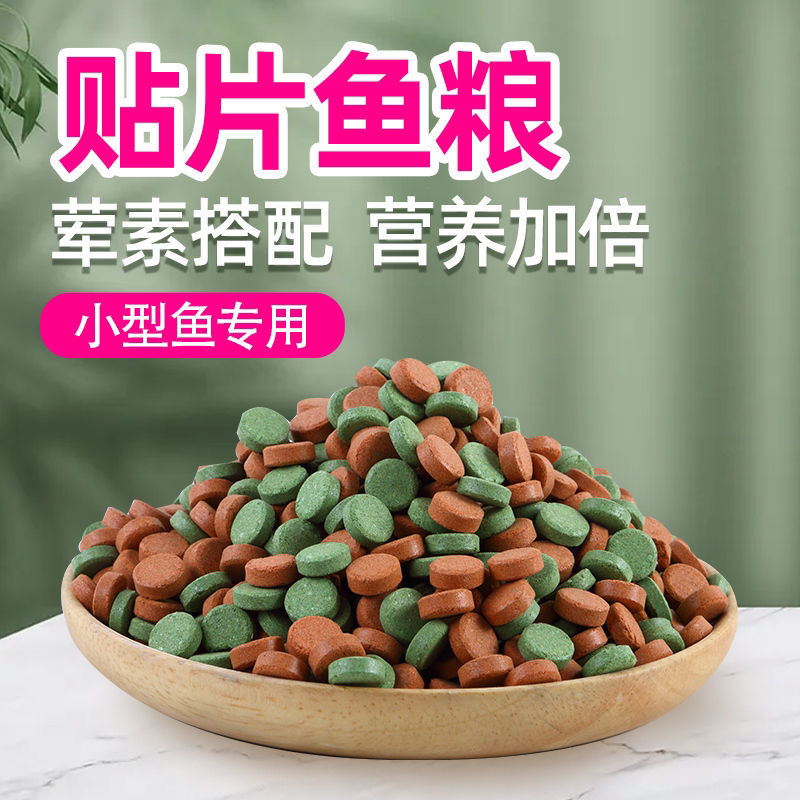 贴片鱼食鱼粮鱼饲料锦鲤华鳈喂食喂养热营养组合荤素养鱼全新