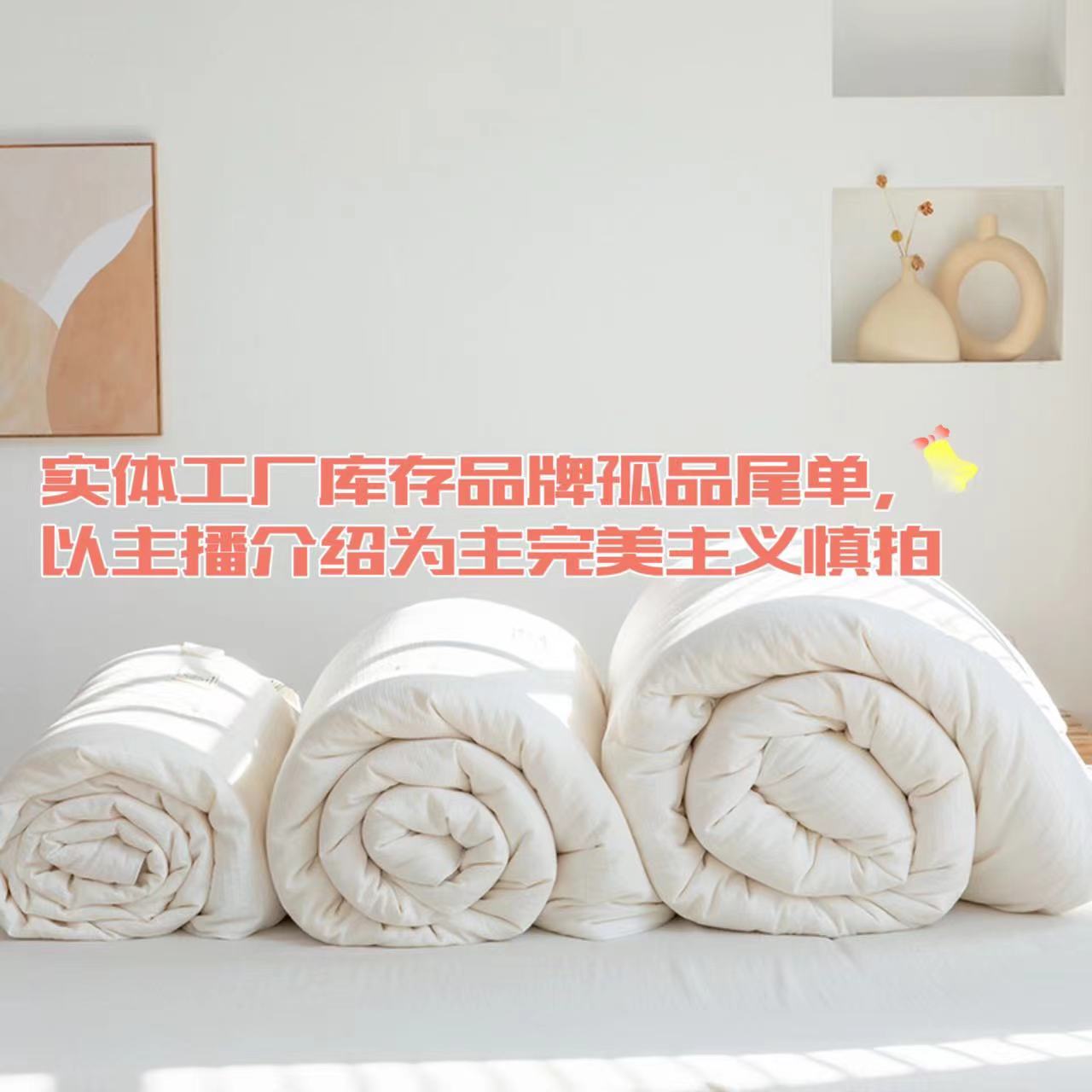 米萝Y[过款链接 按主播介绍发货]孤品尾货冬被子母被春秋被芯柔软