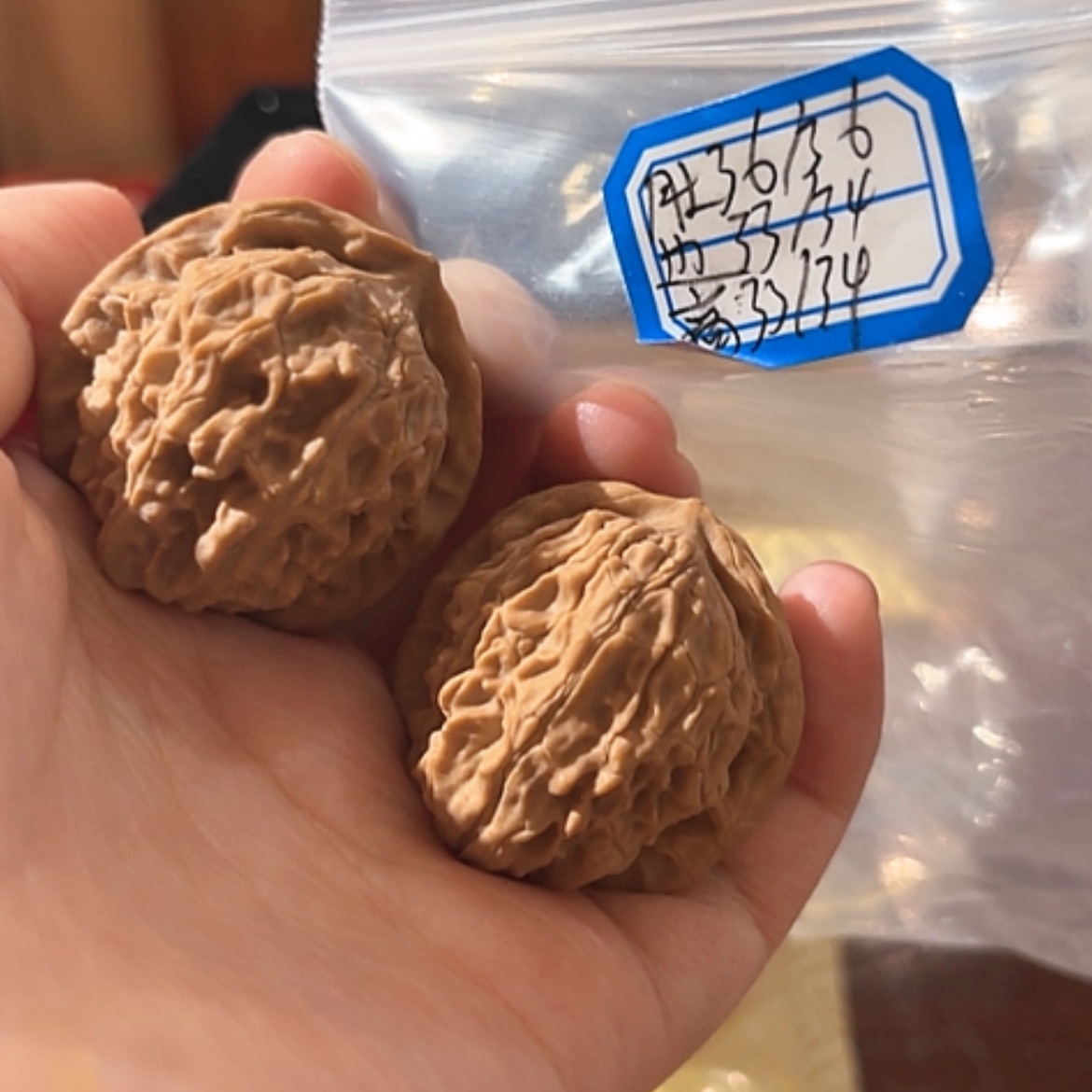 【闪购商品】文玩核桃吊坠非嫁接元宝