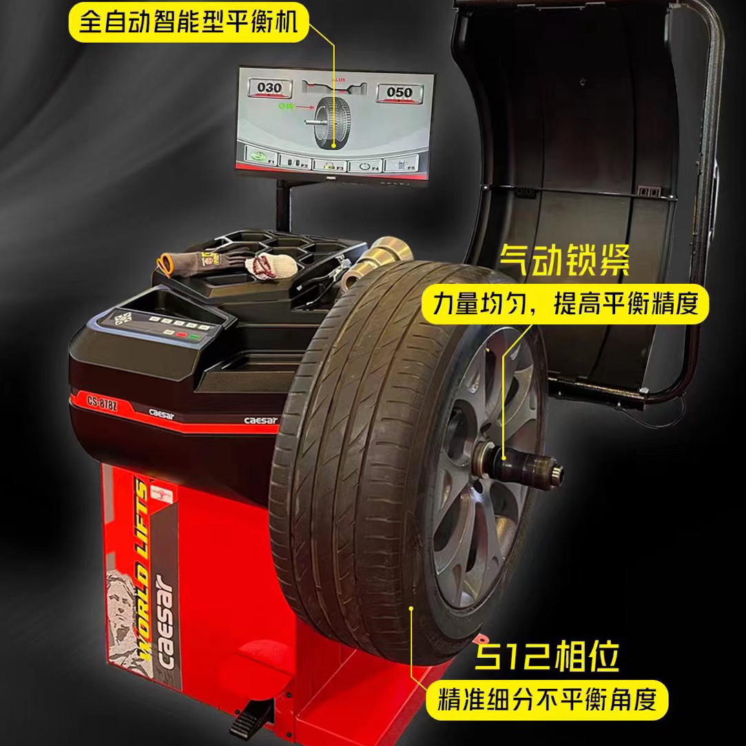 大力凯撒平衡机 D-990E