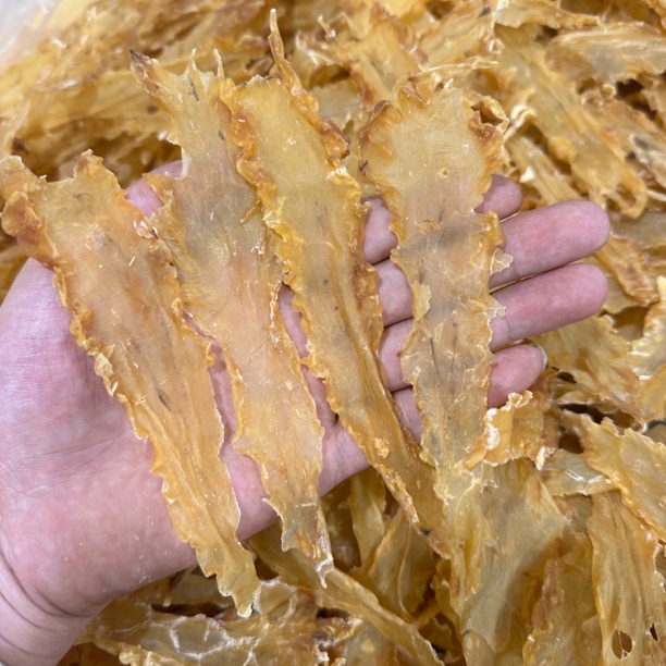 鳕鱼胶【鸡哥鱼胶福利】