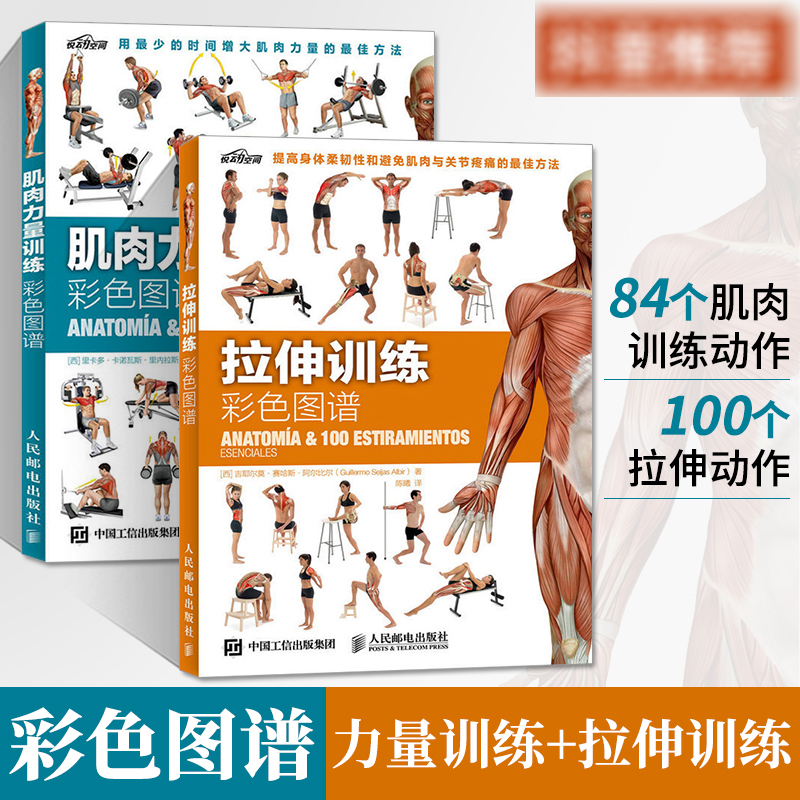 健身书籍大全 肌肉力量训练彩色图谱 徒手健身教练力量与肌肉力量