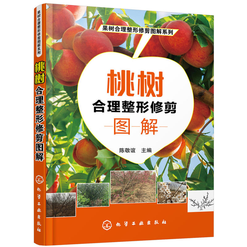 桃树合理整形修剪图解 果树合理整形修剪图解系列 桃树种植栽培