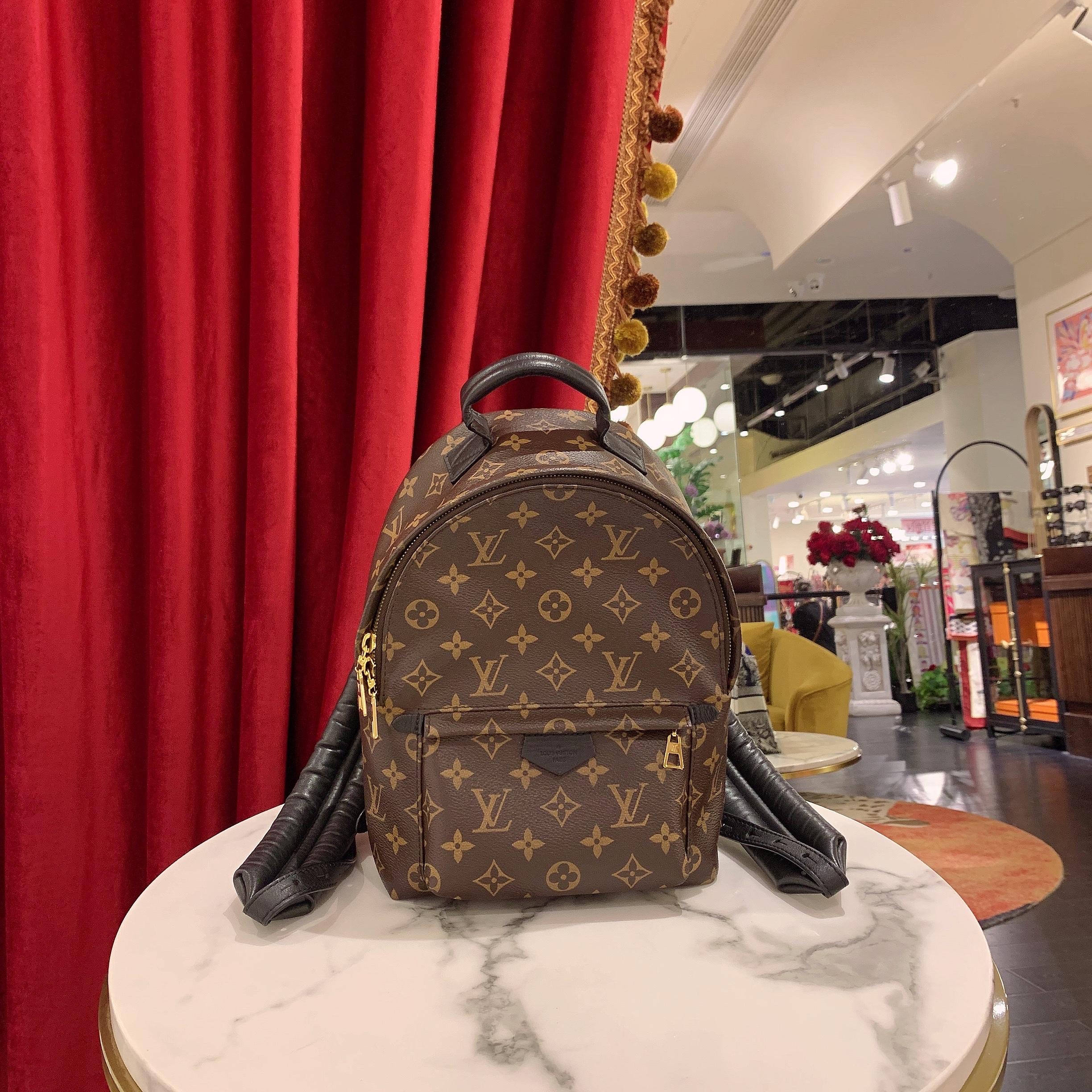 95新 LouisVuitton/路易威登 GGS萌萌丨双肩书包小号老花85787298