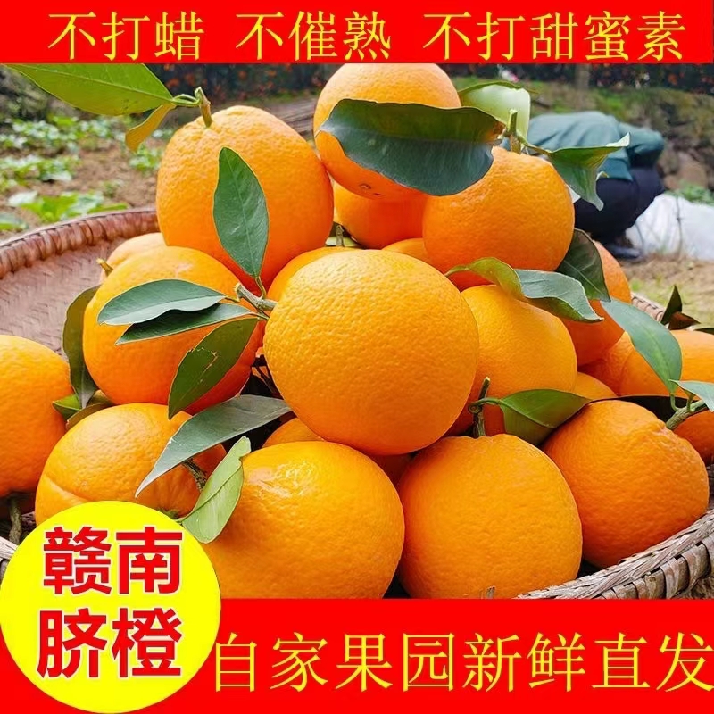 正宗赣南信丰脐橙带箱5/10/20斤新鲜水果橙子现采现发香甜皮薄