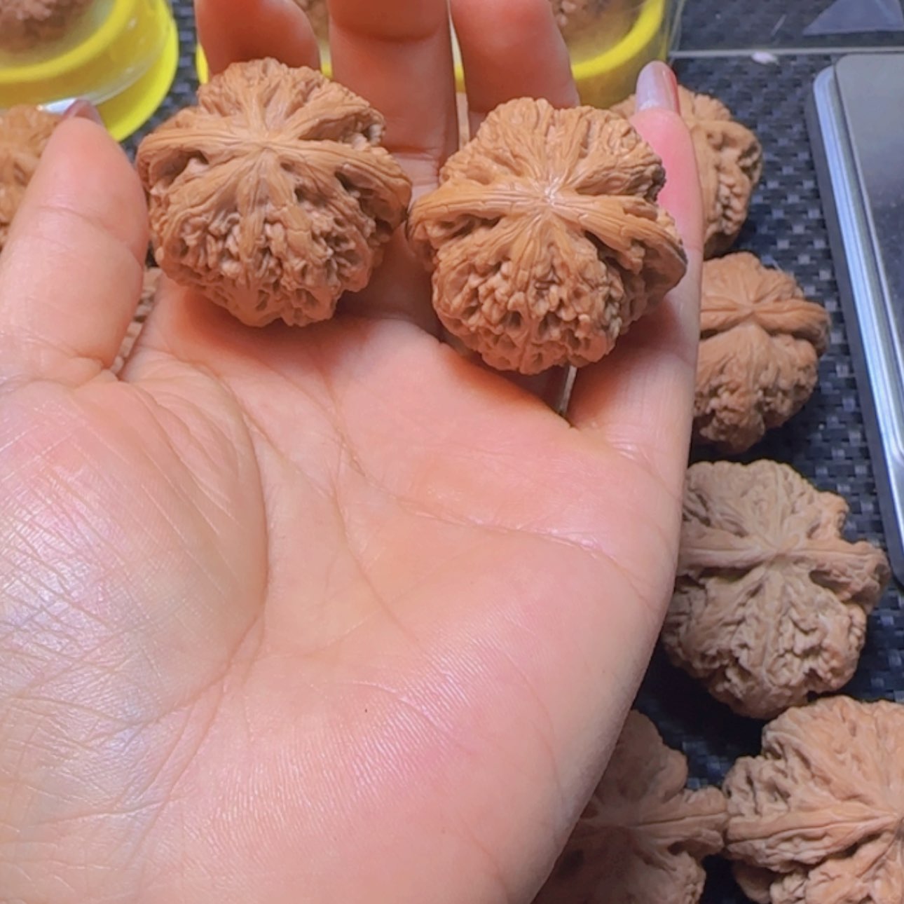 【闪购商品】桃核吊坠小**号36粗筋