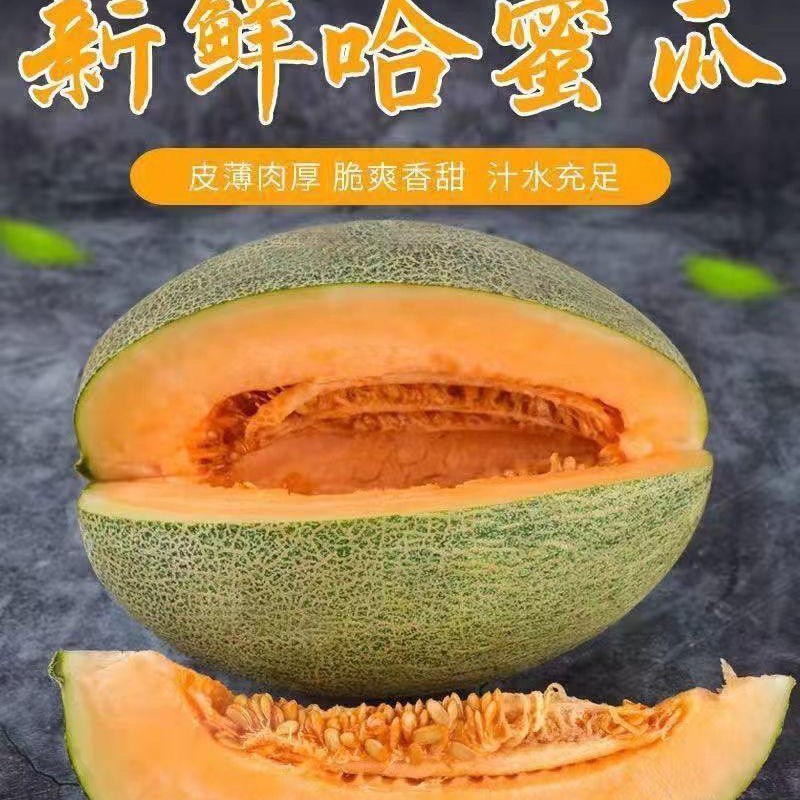 【甜蜜爆汁】正宗海南海沙地哈密瓜西州蜜新鲜水果疆现摘肉厚脆甜瓜