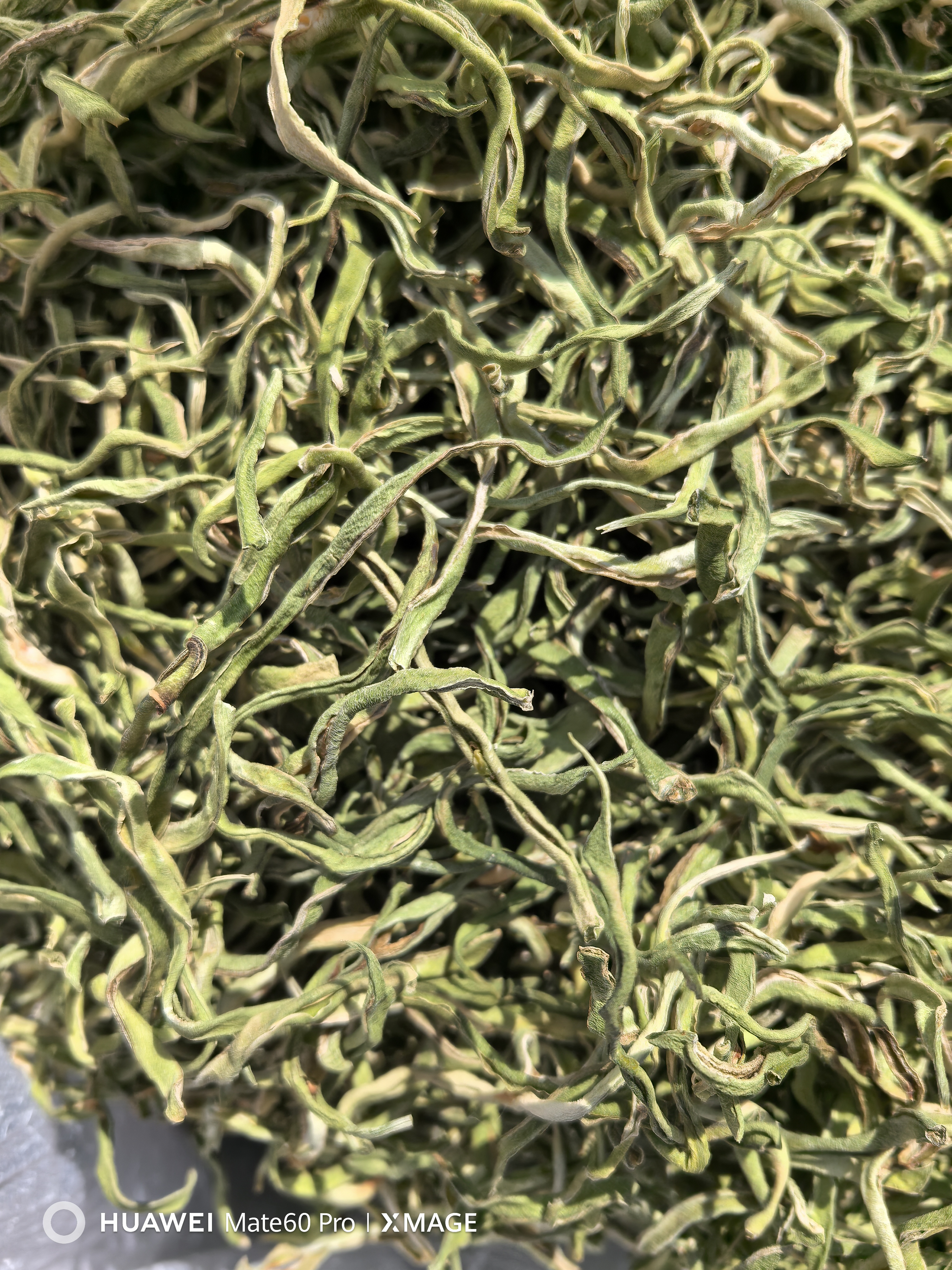 2024年大兴安岭油豆角丝