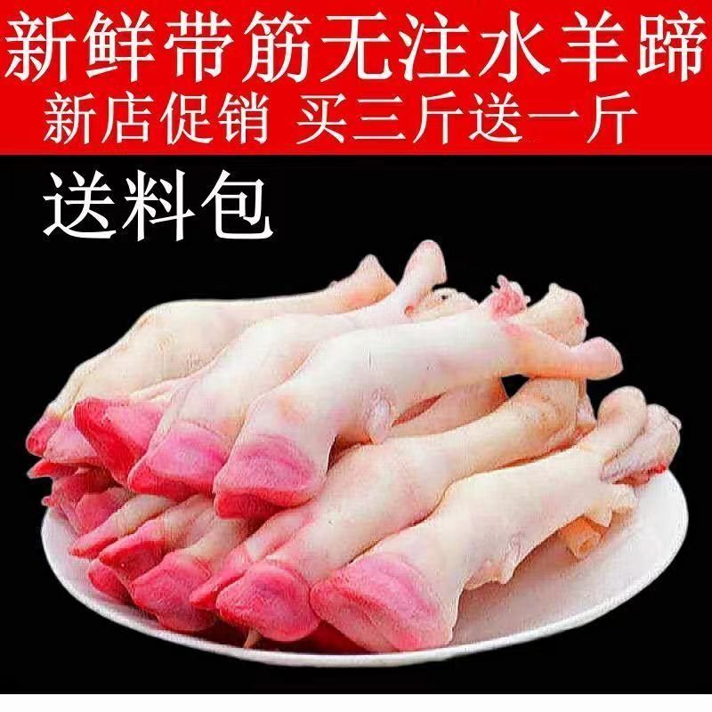新鲜带筋羊蹄现杀羊蹄冷冻散养羊蹄整箱优选羊脚羔羊蹄绵羊炖料包