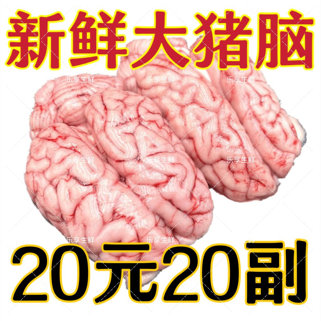 猪脑脑子优选冷冻新鲜商用猪脑子脑花左右脑生猪脑髓火锅烧烤食材