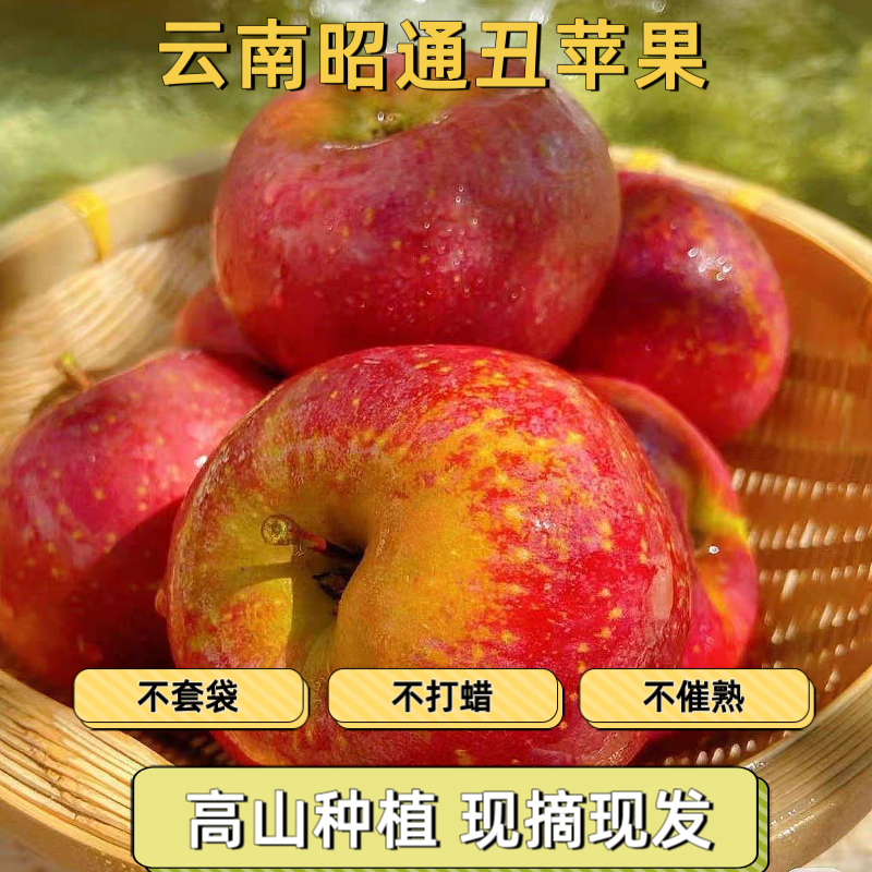 正宗云南昭通红富士丑苹果9甜1酸新鲜采摘脆甜多汁原产地净重发货