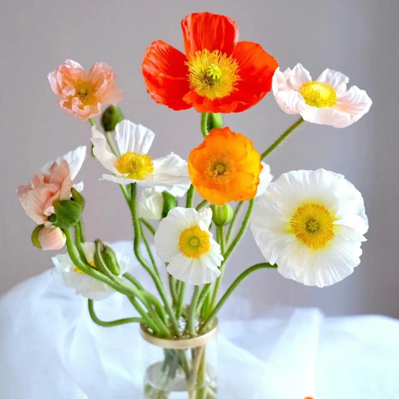 凑单虞美人  鲜花   云南基地直发 任意两单起