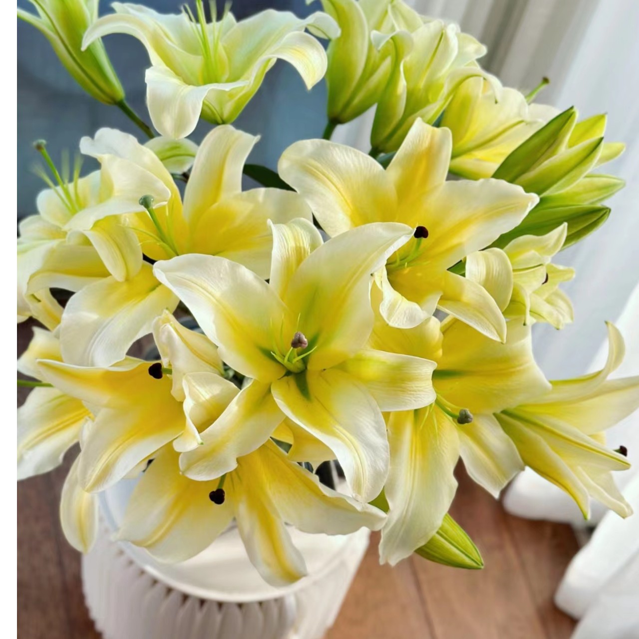 黄天霸百合  云南基地直发  任意两单起发