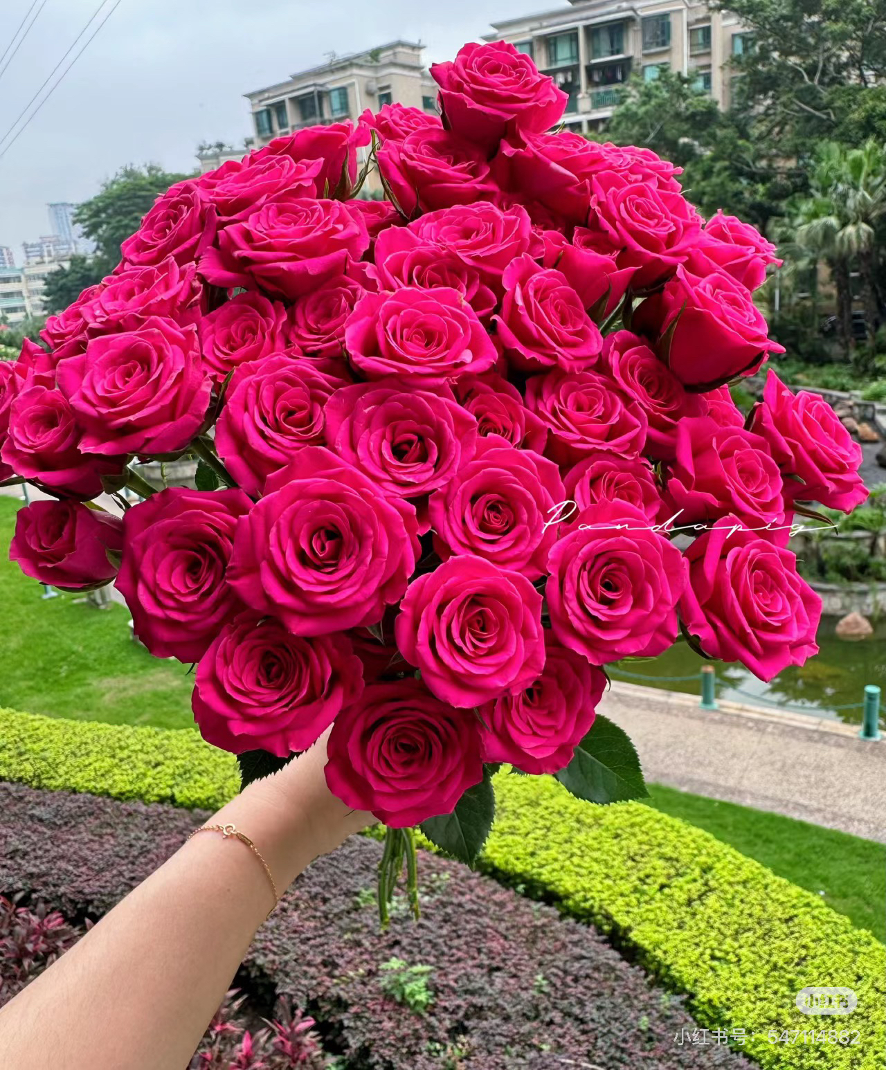 10枝多头 粉红溜溜球泡泡一单中通冷链 2单顺丰