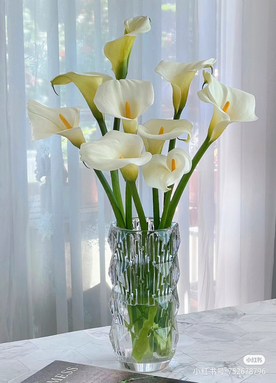 A级10枝马蹄莲鲜花 两单发顺丰 保证质量倒是不包开，不会养的别买