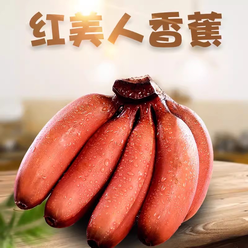 优质香蕉苗红香蕉 粉蕉 苹果蕉皇帝蕉威廉香蕉苗带土发货当年结果