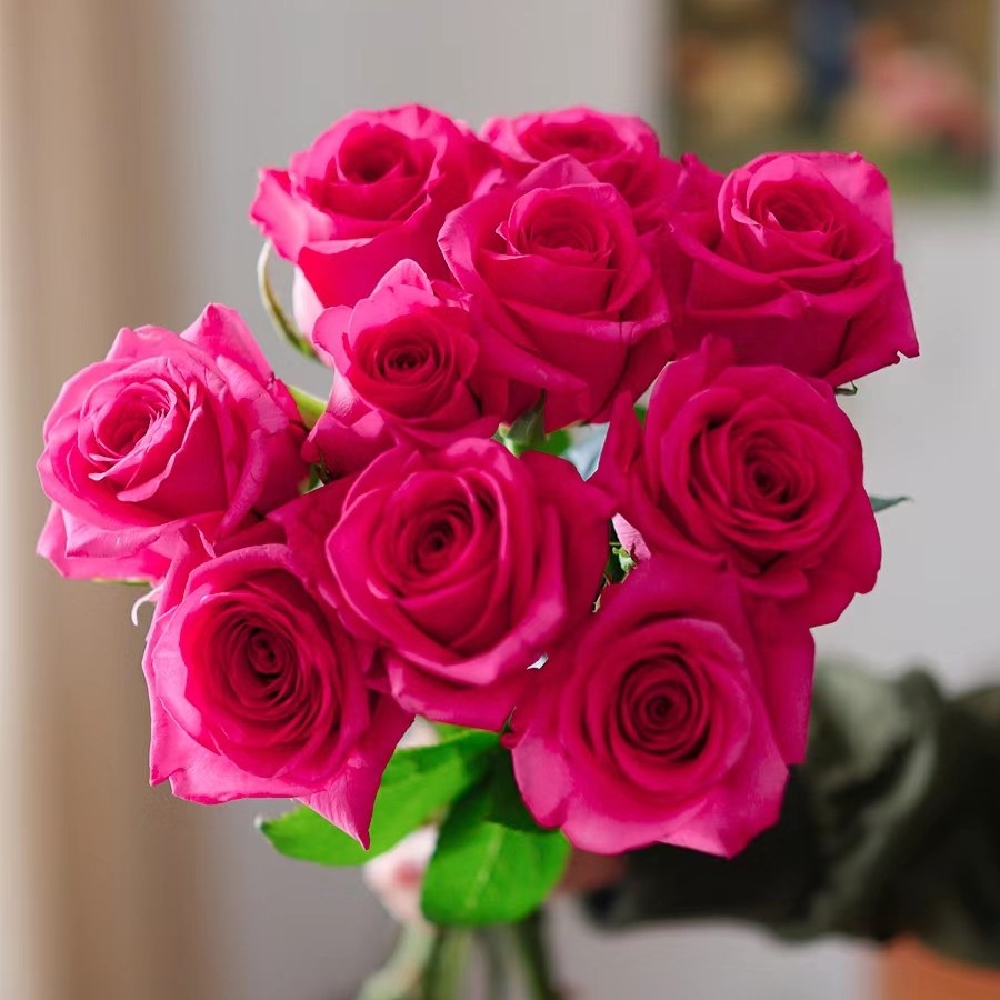 【香羿鲜花】弗洛伊德玫瑰10支/全场任意满两单及以上包邮