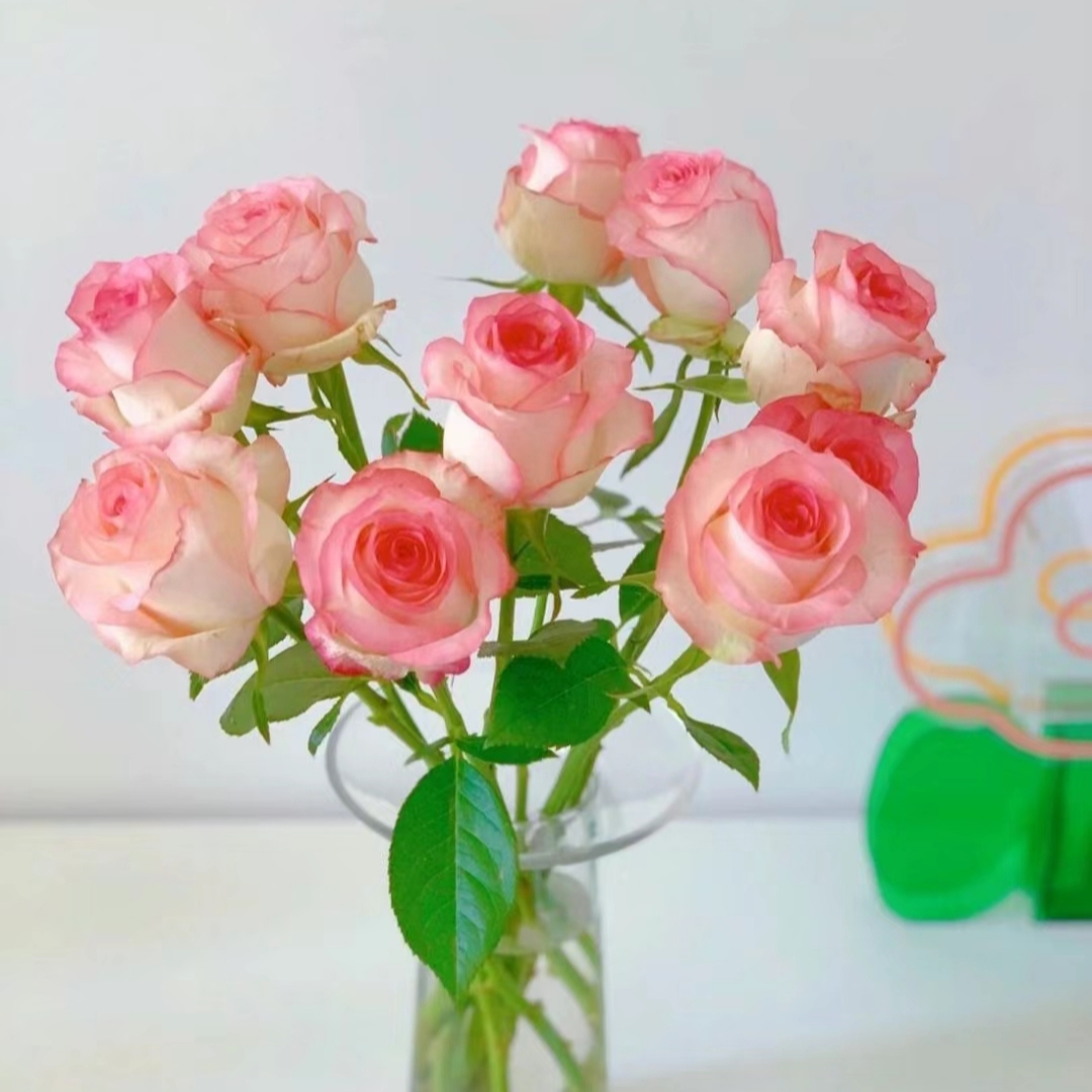 【香羿鲜花】爱莎玫瑰10支/全场任意满两单及以上包邮
